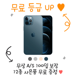 [12종 사은품 증정]아이폰 12 Pro Max